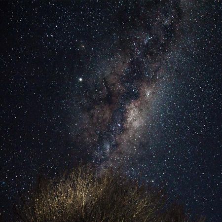 Away With The Fairies Nature Lodge And Backpackers ホグスバック エクステリア 写真