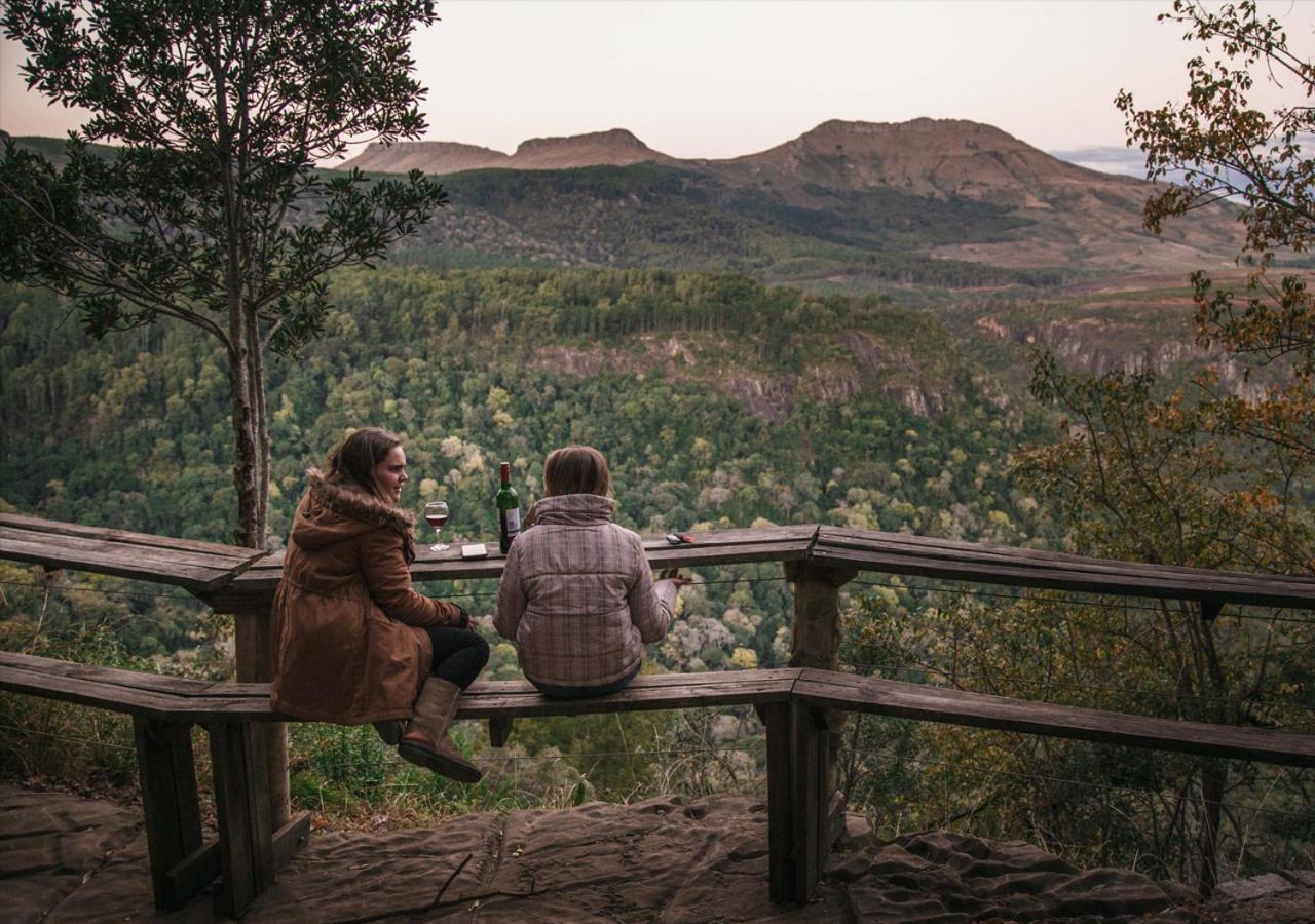Away With The Fairies Nature Lodge And Backpackers ホグスバック エクステリア 写真