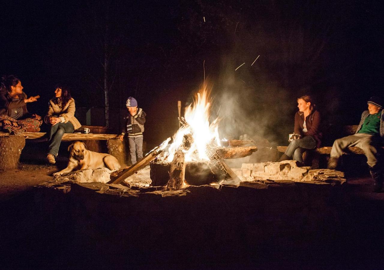 Away With The Fairies Nature Lodge And Backpackers ホグスバック エクステリア 写真